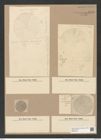 Coscinodiscus lentiginosus Jan. (de-Toni-Nr.: Genus 202, Species 4936) Zeichnungen Sammlung Grunow Nr. 8519 (NHMW-BOT-W0378143)